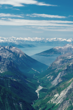 expressions-of-nature:  Lyell Creek by Vern Dewit