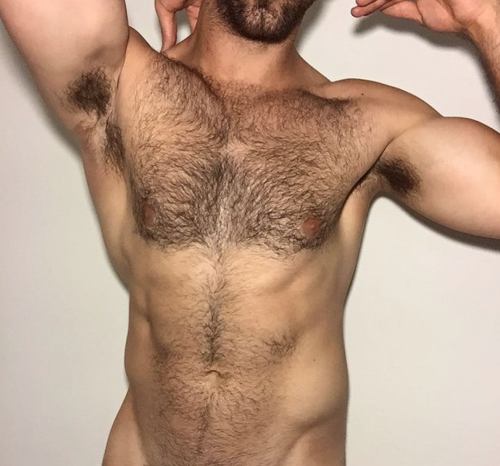 alejodickhead:  https://www.instagram.com/beardedchallenge/