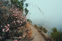 hannaoliviaway:  perfectly foggy five miles up Hazard Peak this morning