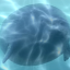sealtime