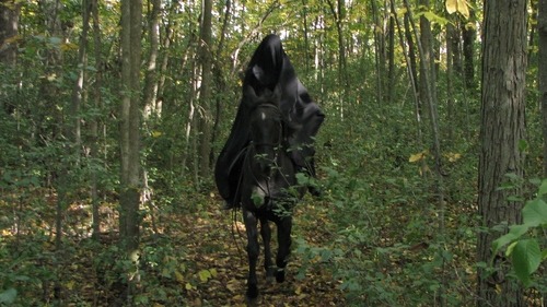 thespooklock:  thespooklock:  so my plan for halloween is to dress up as a Nazgul with my black horse and go trick or treating but instead of saying “trick or treat” i’ll either scream or hiss “Bagginssssssssss, Shhhhhhhire” and then ransack