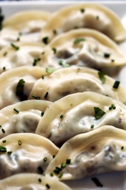 vegan-yums:Shiitake and oyster mushroom dumplings