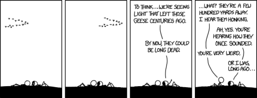 Anyway, that&rsquo;s a common misconception. Geese live for a long time; all the ones we can see