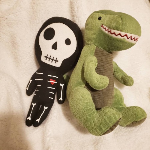 Peanut got me stuffies while I was in the hospital, meet skelly and jelly! - #ageregression #agere #