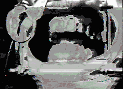 Vespertine