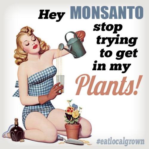 skasurfer:Stop MonsantoEat local. Or grow your own.