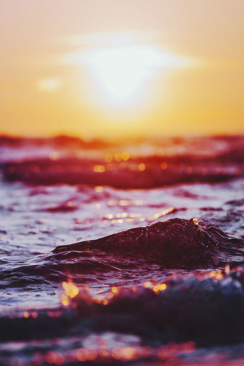 elenamorelli:  { flaming waves }