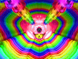 psykadelick:  For best music to listen to high, CLICK