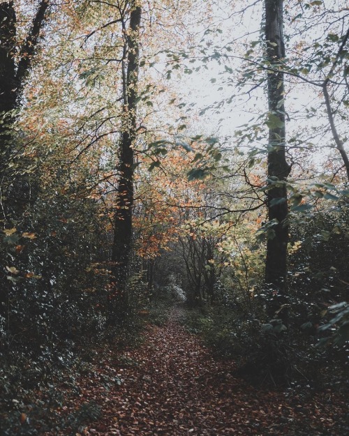 Instagram | Thewildwoodmoth