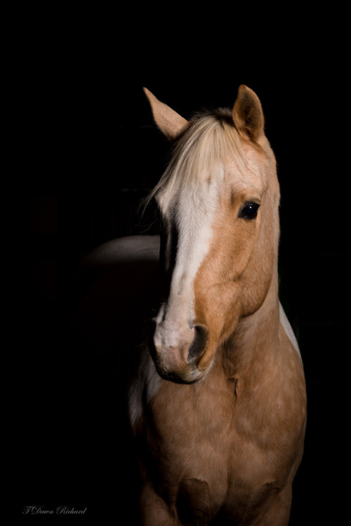 It took three people to get this shot. One to run around with the light chasing me like a fool while