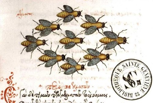 sweeneyagonistes:perpetual-loop:Medieval illustration from beekeeping manuscript [x]sathinfection