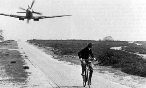 natelife:  velominati:  saberbicycles:  Best bicycle photo ever!  rut-roh  me on my way to work