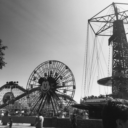 roxychild94:First Disneyland/California Adventure trip since coming back from vacation  (at Disney C