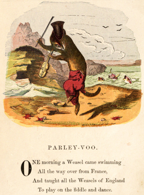 ‘Parley-Voo’, “Nursery Nonsense”, 1865Source
