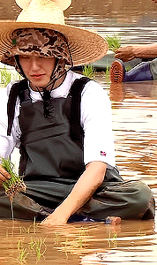 Hoshi In Gose 2021: Planting Rice And Making Bets #1