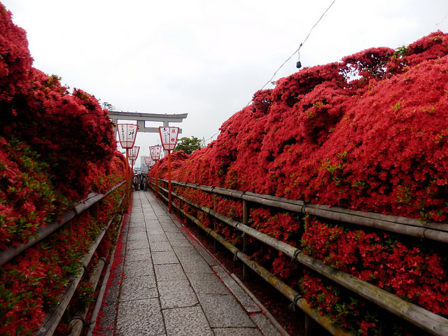 miizukizu:  Nagaoka Tenmangu Shrine By : Izu navi