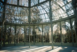 laiapallares: Palacio de Cristal. Madrid, Spain. January 2018.  Camera: Pentax P30n Film: Kodak Color Plus 200 ISO 35mm 