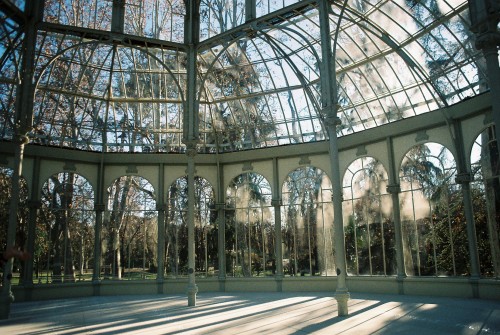 laiapallares:Palacio de Cristal. Madrid, Spain. January 2018.Camera: Pentax P30nFilm: Kodak Color Pl