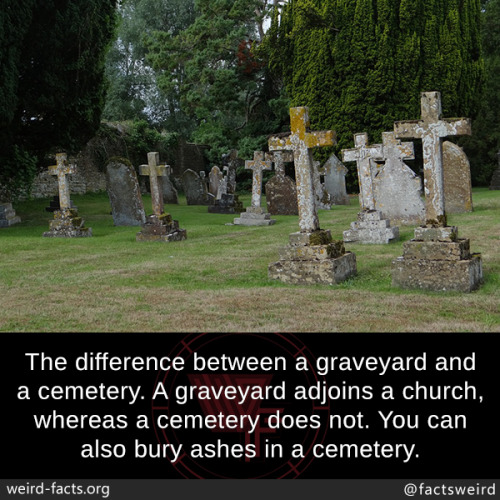 zooxanthele: mindblowingfactz: The difference between a graveyard and a cemetery. A graveyard adjoin