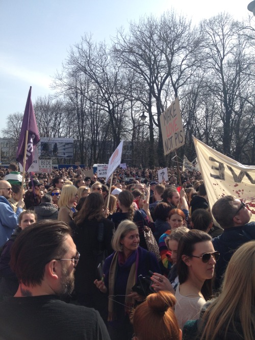 iblamenikilauda: Polish men and women gathered today in front of the parliament. We protested agains