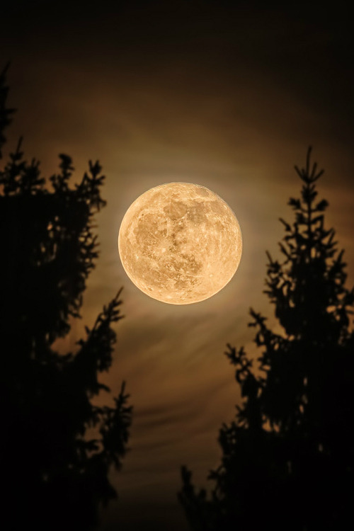 umq:  The Moon {Lauri Jeskanen} 