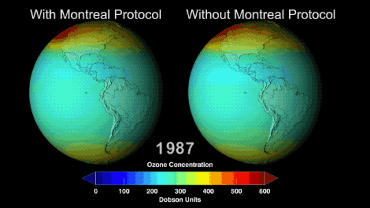 Observing the Ozone Hole from Space: A Science Success Story