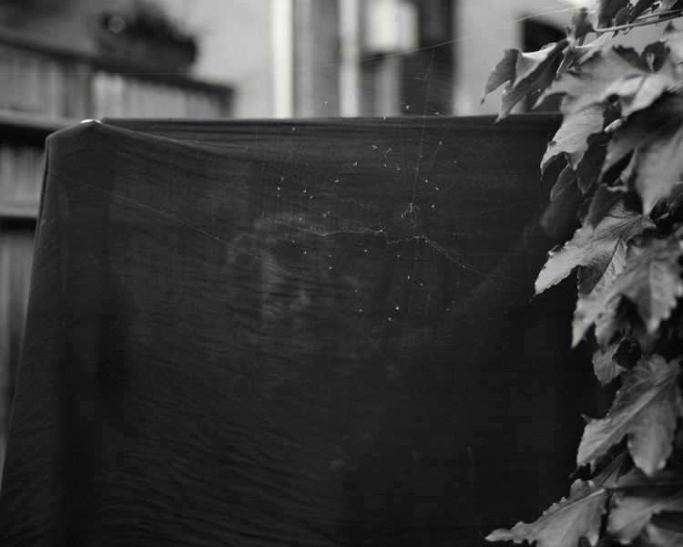 ericmarth:  Very pleased to discover the work of Allison Barnes this morning.  