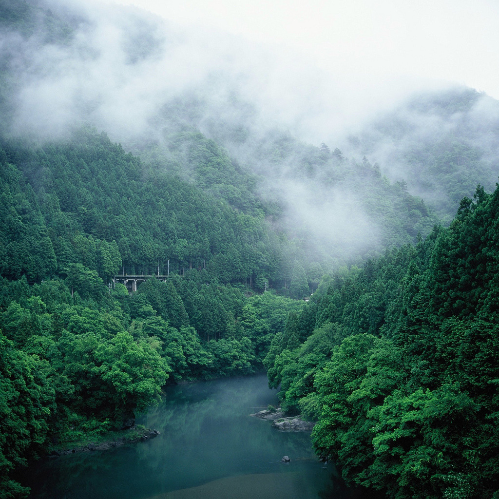 brutalgeneration:  rolleiflex_100614_37 (by Jun Takeuchi)