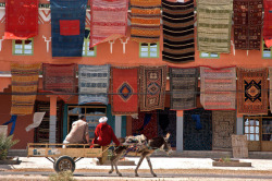 tanyushenka:    Essaouira, Morocco@Izzet Keribar   