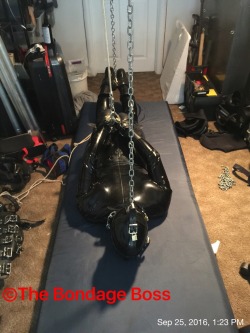 bondageforthebigman:  thebondageboss:  Sunday,