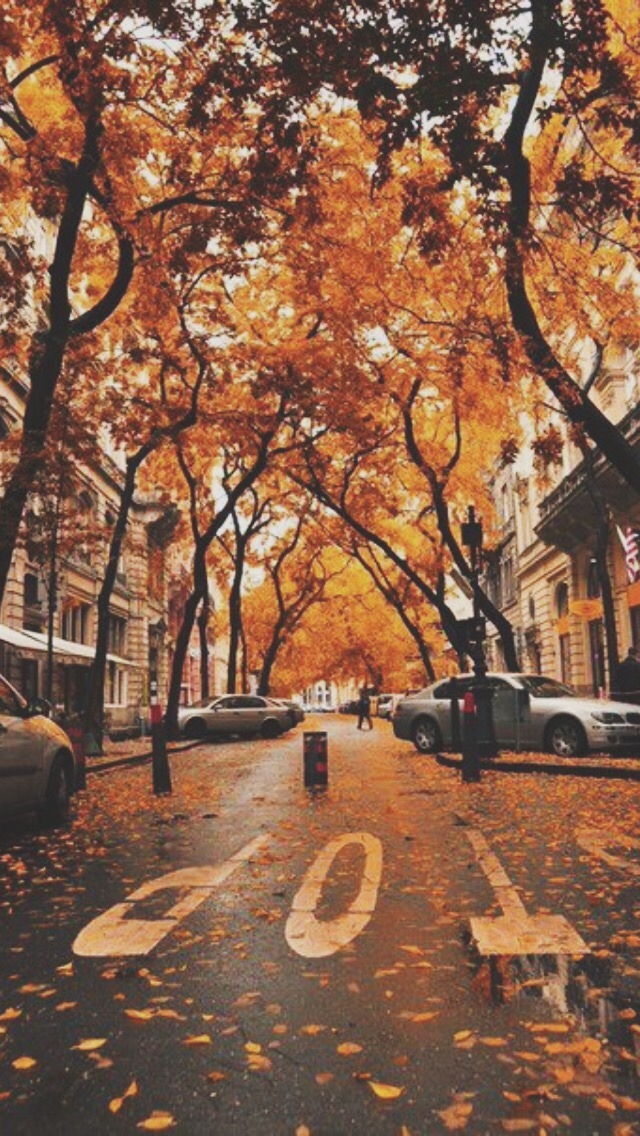 phone-wallpapers-heaven:  Falling for the Autumn /Lockscreens/  