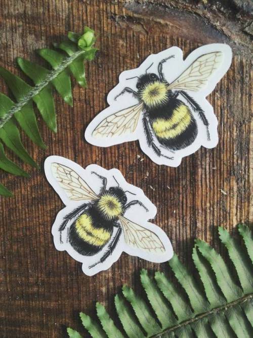 Bumble Bee Sticker //BridgetteJonesPrints