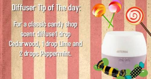 Classic candy shop diffuser blend. My spouse is always playing with diffuser blends. I came home and