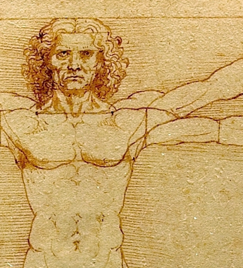 artisticinsight: Details of Vitruvian Man, 1492, by Leonardo da Vinci (1452–1519)