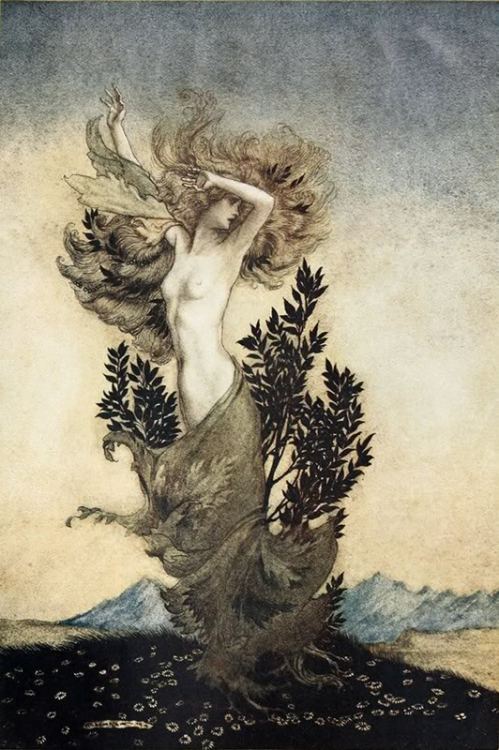 aurumnorthwood:Arthur Rackham Illustration