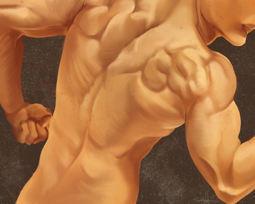 XXX lukevalentineart:Back Muscle studies photo