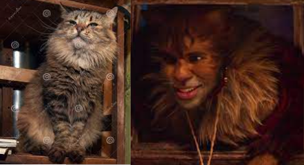 Cats 2019 As Real Cats Cause Why Not.part 3 The Toms