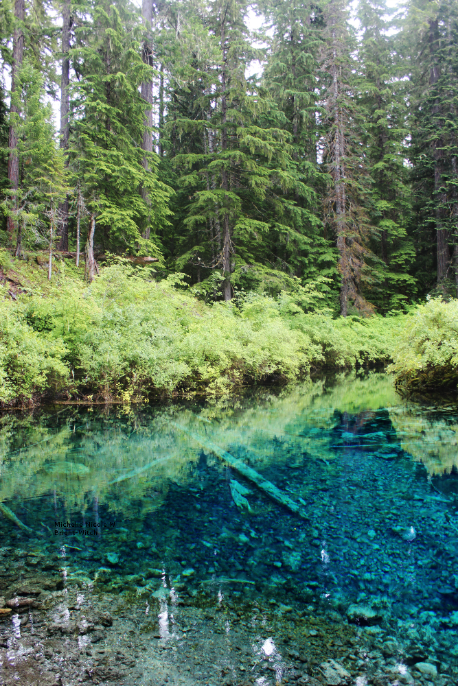 bright-witch:    ◈ The Wellspring, photography by Michelle N.W. ◈ ◈ Print Shop