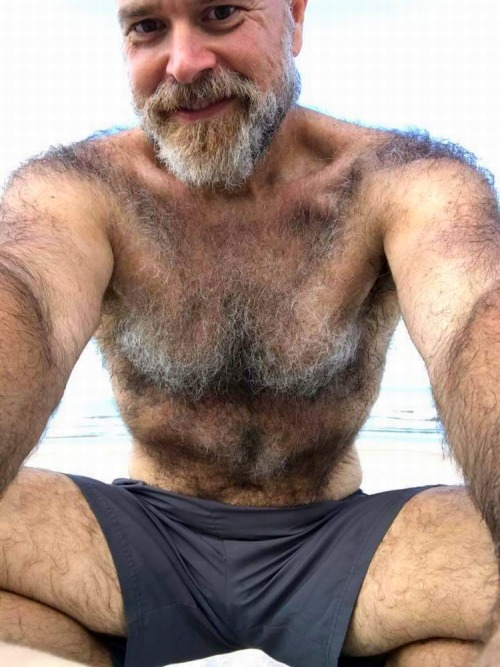 hairytreasurechests: VISIT MY OTHER TUMBLR BLOGS:Hairy, bearded and older men who are well hung:men