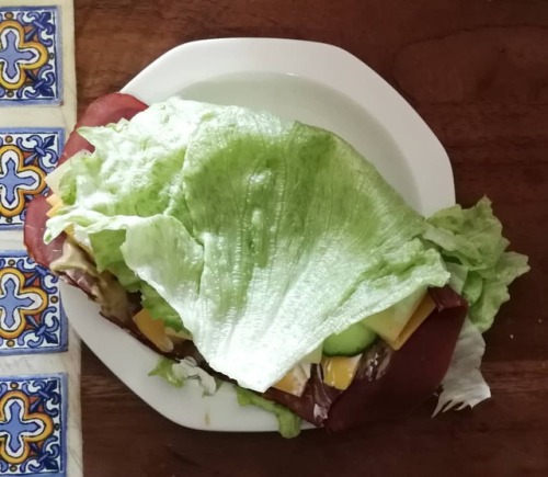 alittlebitofketo: I’ve been craving a sandwich lately so I bought lettuce. Smoked beef, cheese, must