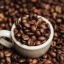 koffeechek