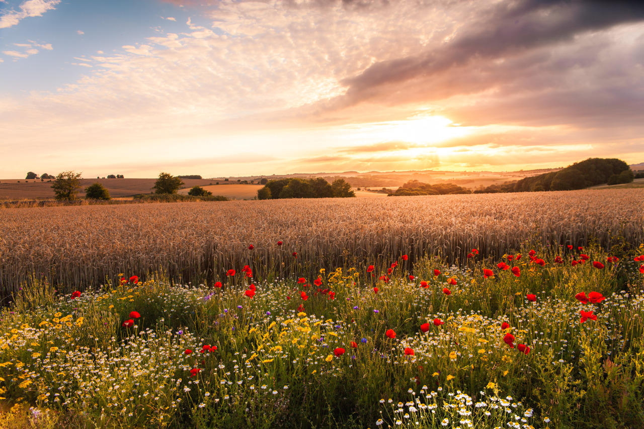 freddie-photography:  The UK always seems to put on a beautiful show. Photographed