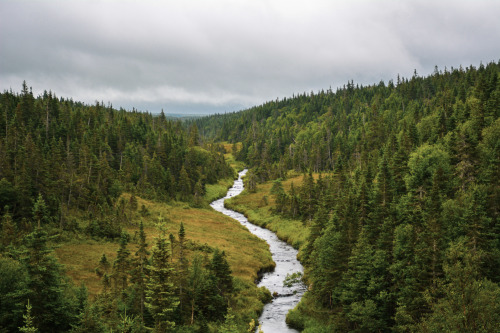 grassdream: Cape Breton, NS.