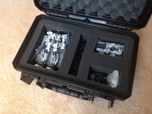Here Are More Pictures Of The Blue Destiny, Which Is Not Quite So Blue Anymore.