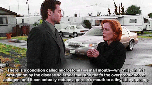 jewish-mulder:   Top 17 18 Episodes of The X-Files [16/18] -&gt; “Je Souhaite”