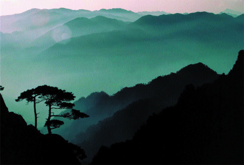 Wang Wusheng, Small pines and far mountains, taken at Peak Lying on the Clouds November 1984, 7 A.M.