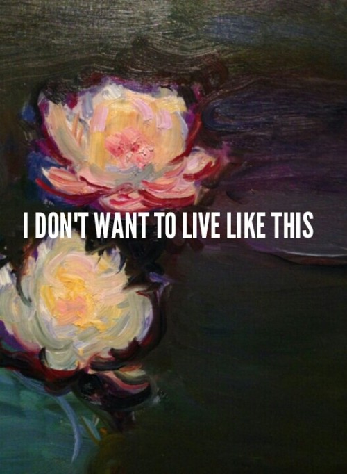 tru-ce:vampire weekend // monet