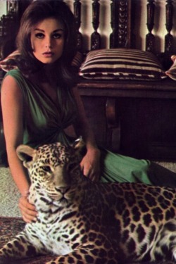 beatnikdaddio:  bigbennklingon: Lana Wood