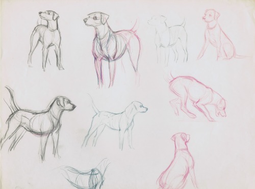 myrobotlandlord:   Deja View: Dalmatians It is always interesting to see what kind of research was d