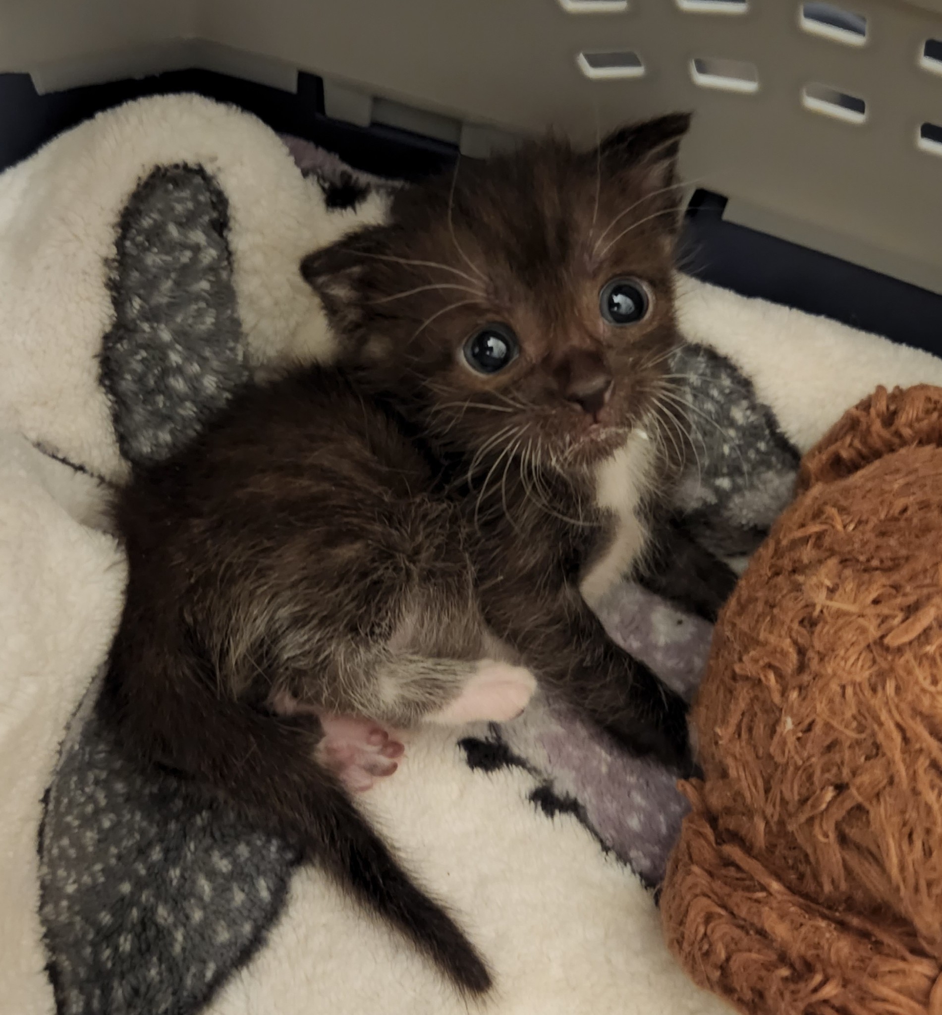 talesfromtreatment:Peppercorn&hellip;. what is that expression&hellip;.I